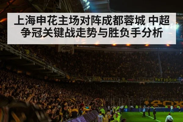 soccer stadium crowd night